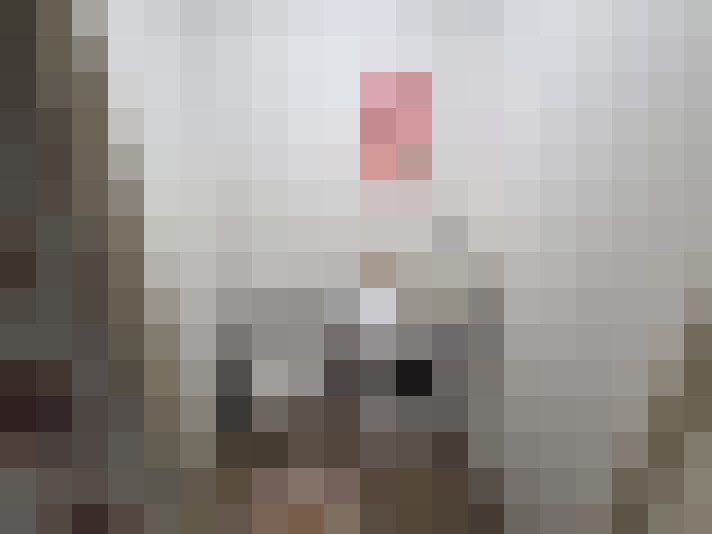  / #7