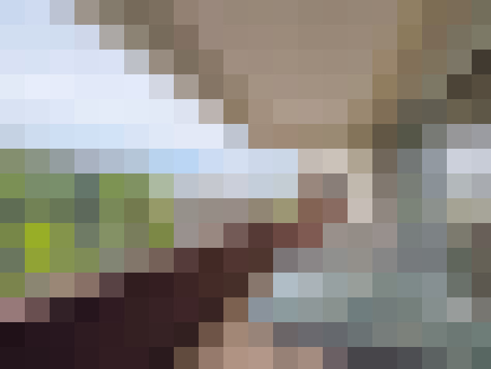  / #12