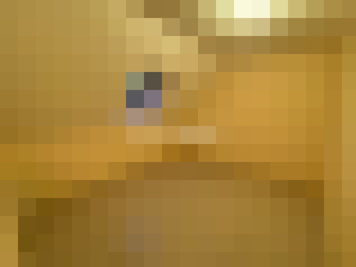  / #6