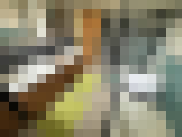  / #15