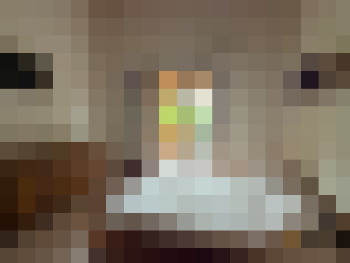  / #8