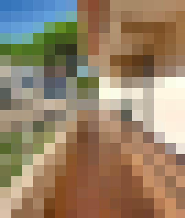  / #6