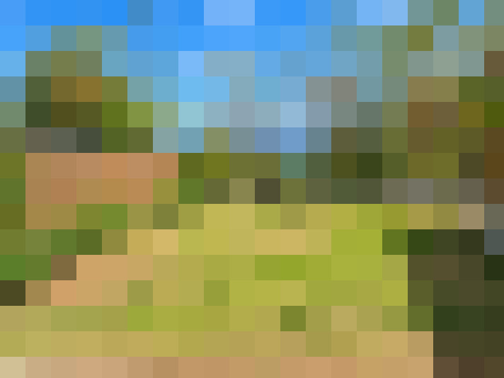 / #13