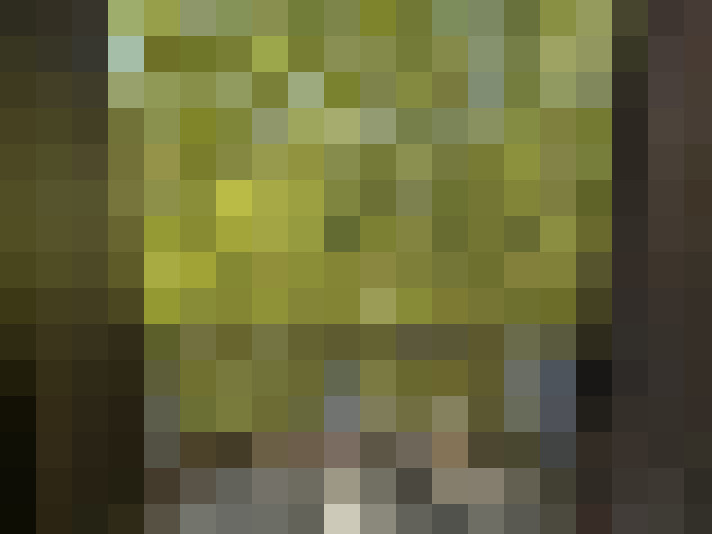  / #7