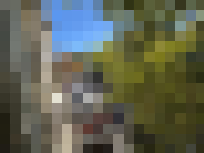  / #11