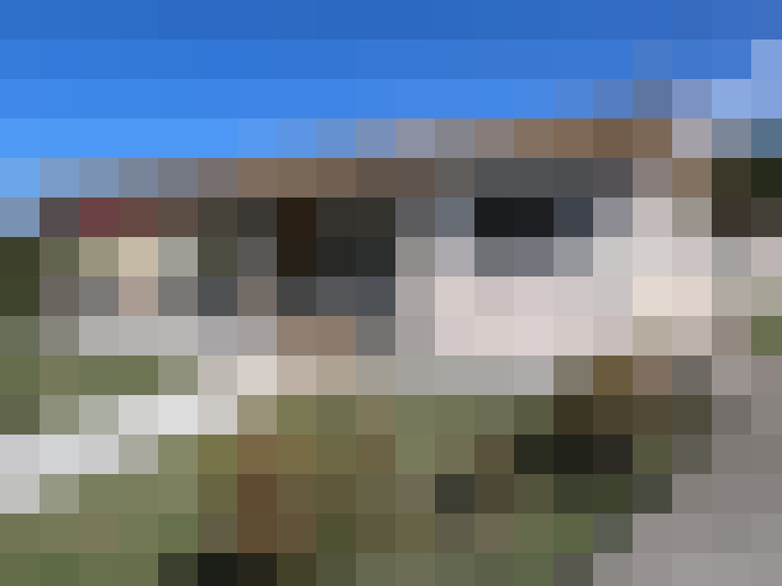  / #7