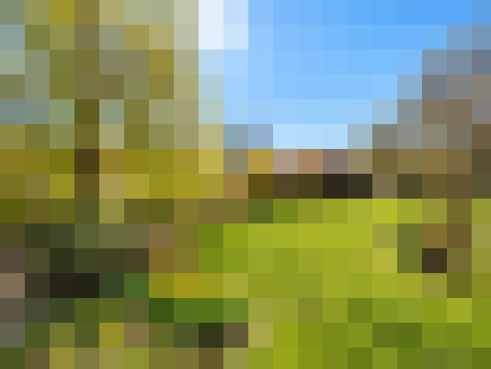  / #16