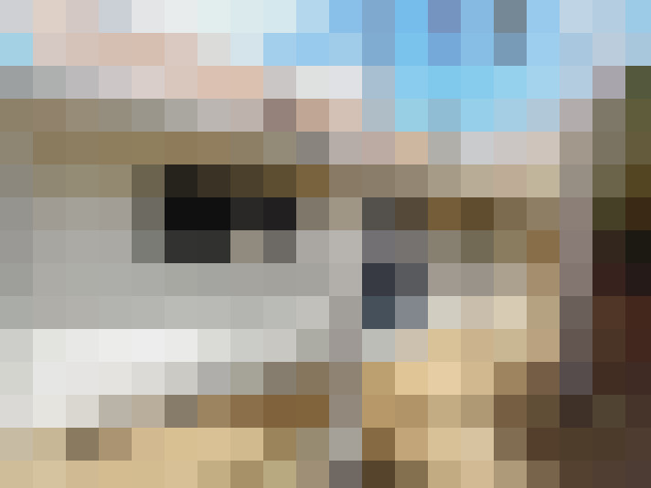  / #11