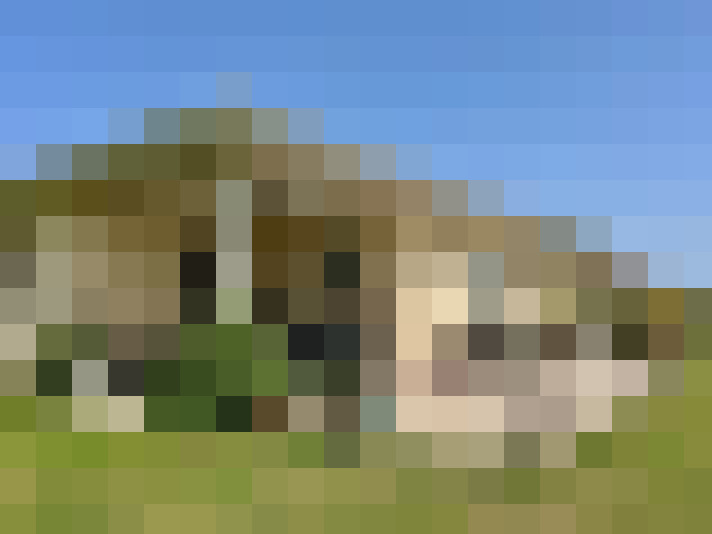  / #14
