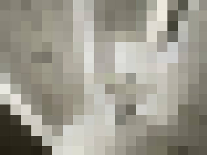  / #12
