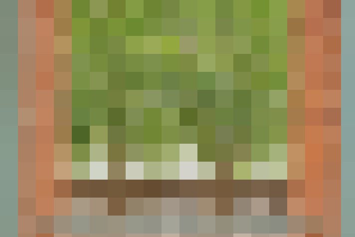  / #8