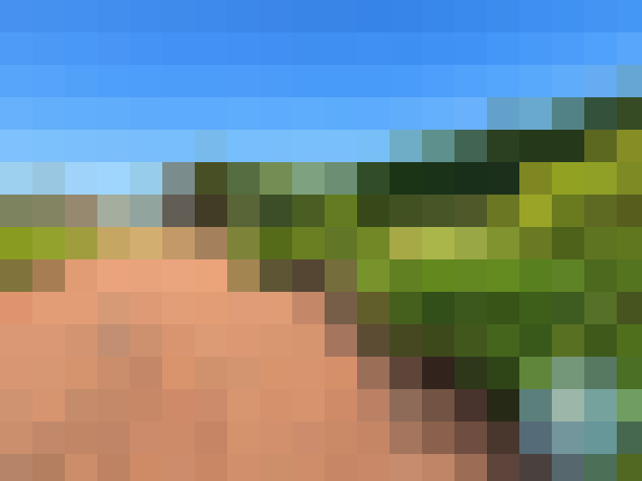 / #16