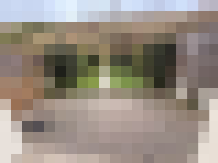  / #7