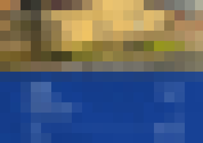  / #11