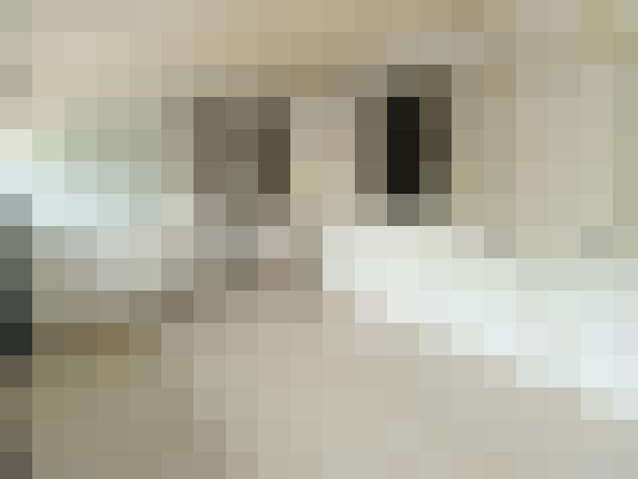  / #16