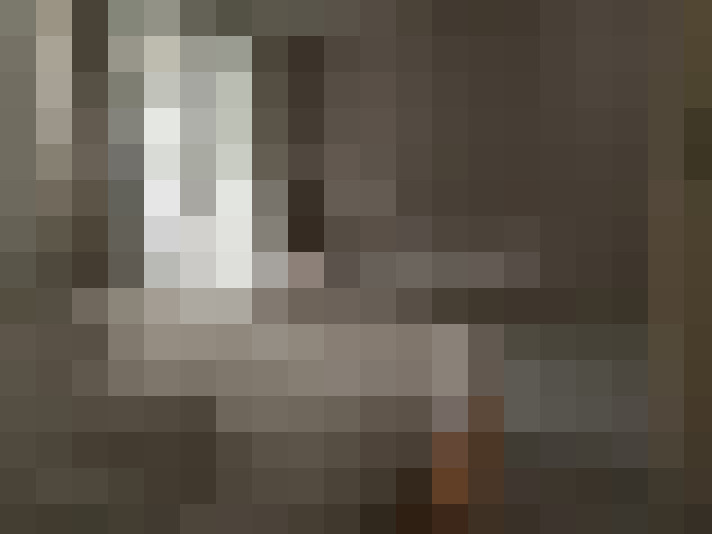  / #15