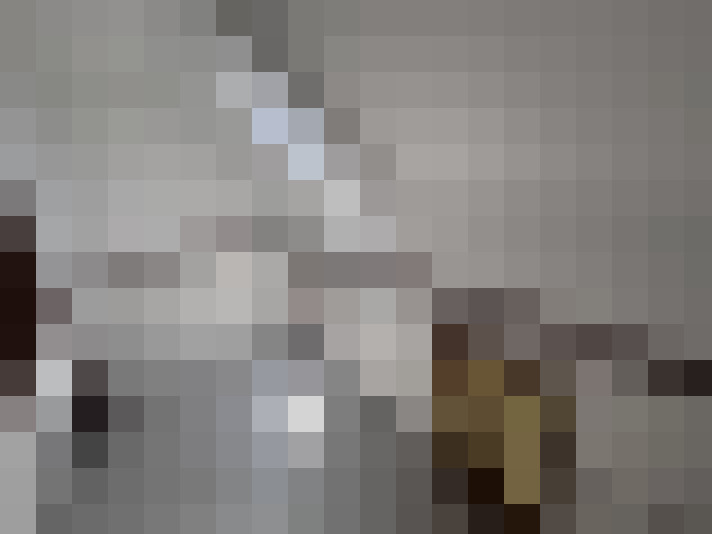  / #8