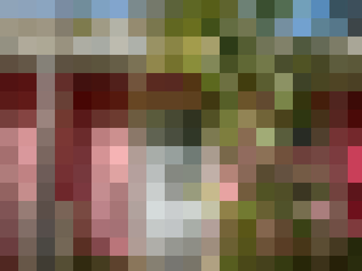  / #15
