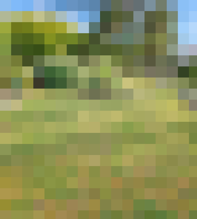  / #15