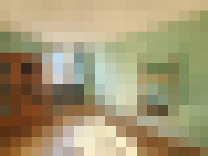 / #8