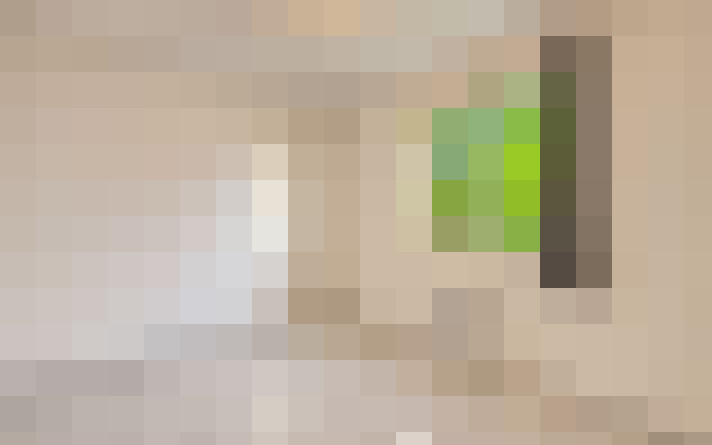  / #8