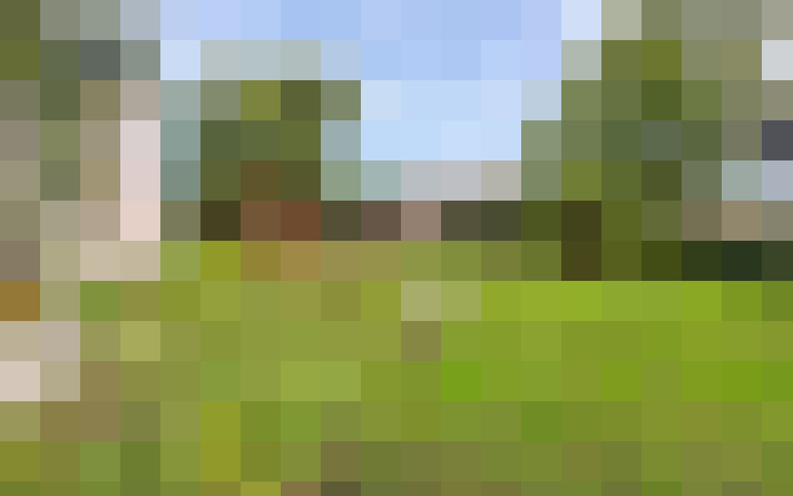  / #13