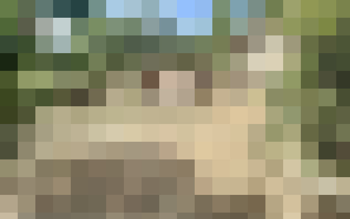  / #11
