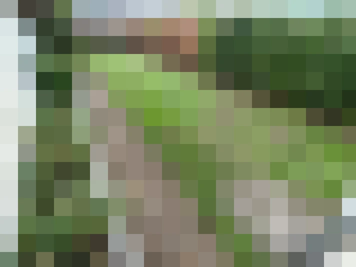  / #17