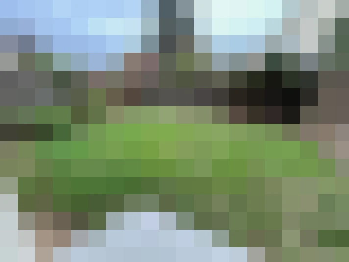  / #16