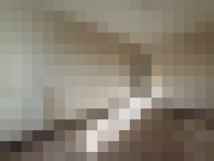  / #8