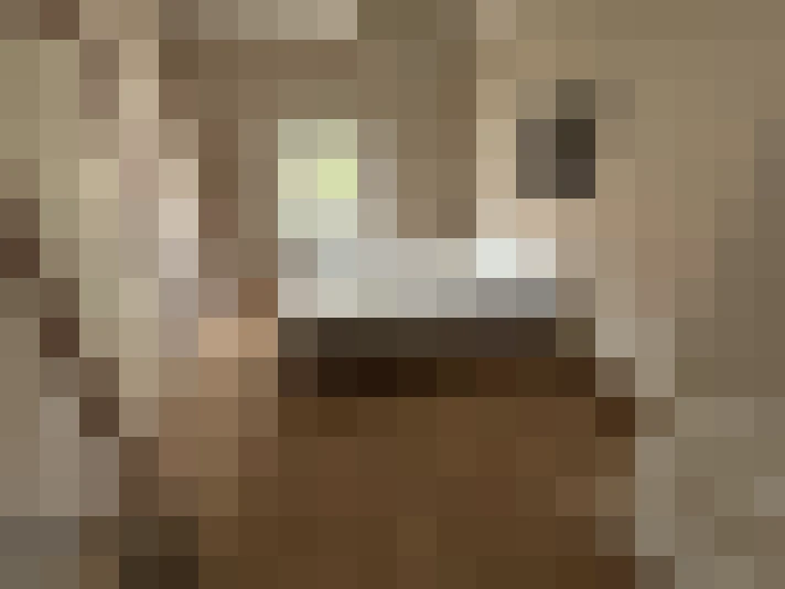  / #8