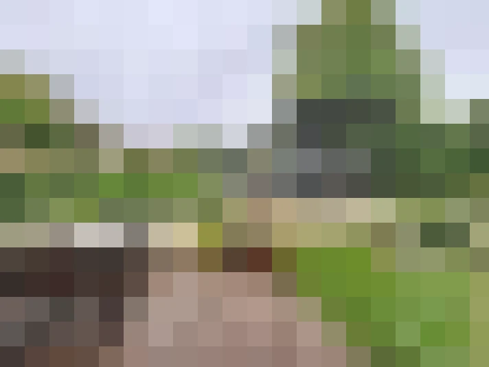  / #17