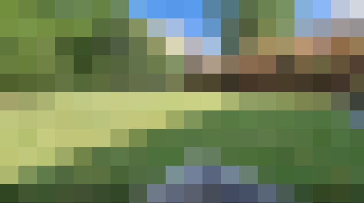  / #14