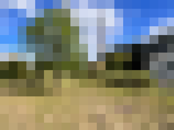  / #14