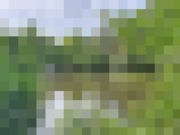  / #14