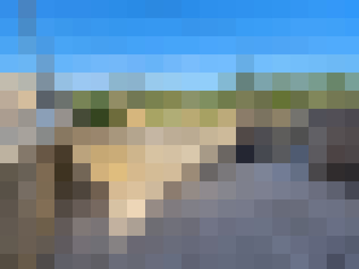  / #7