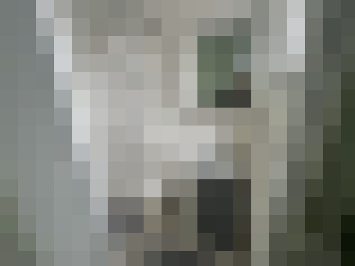  / #8