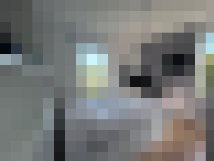  / #8