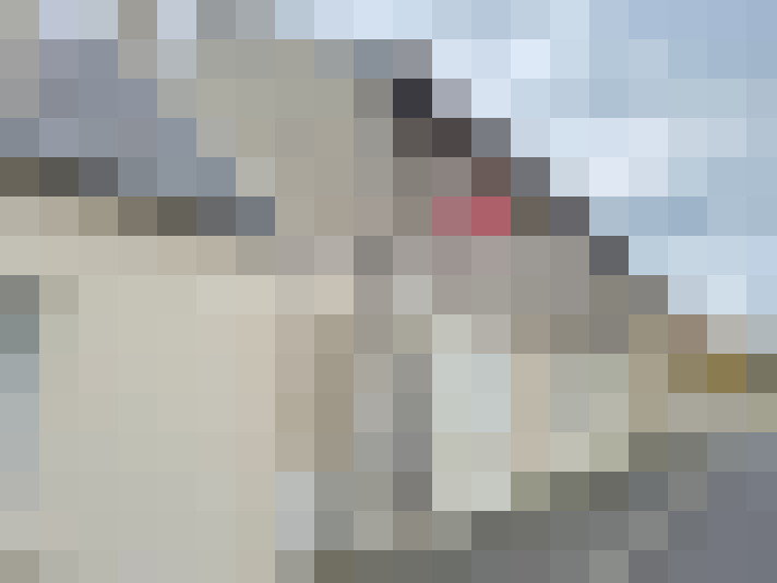  / #16