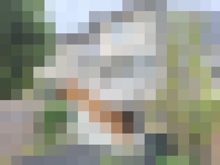  / #12