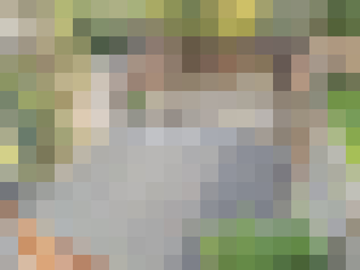  / #15