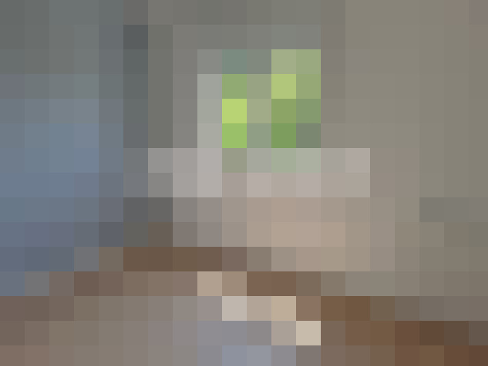  / #8