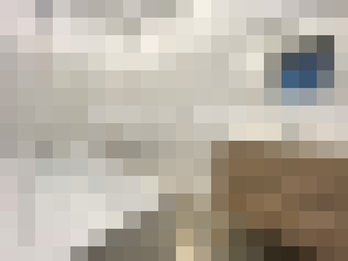  / #7