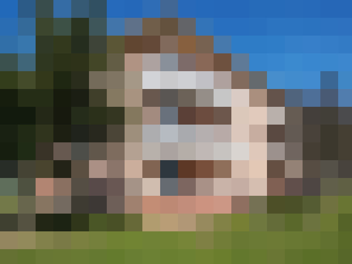  / #6