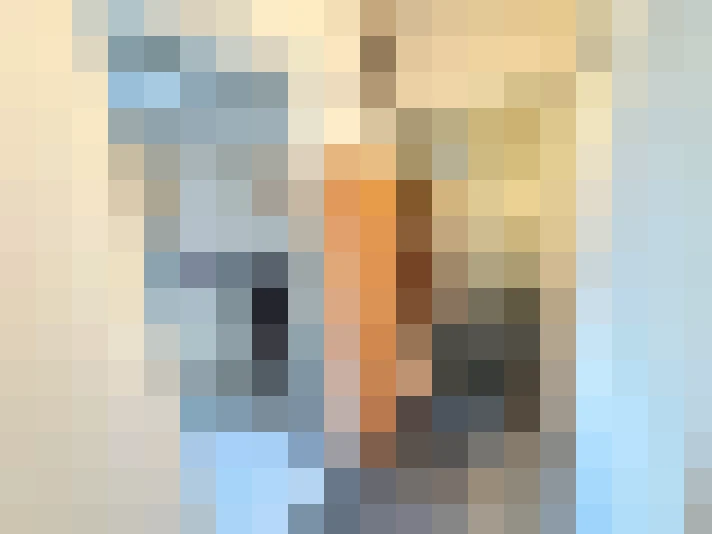  / #8