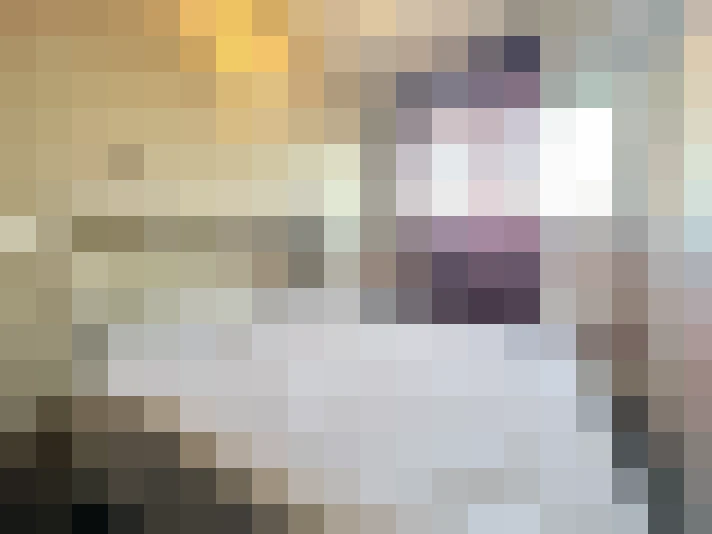  / #15