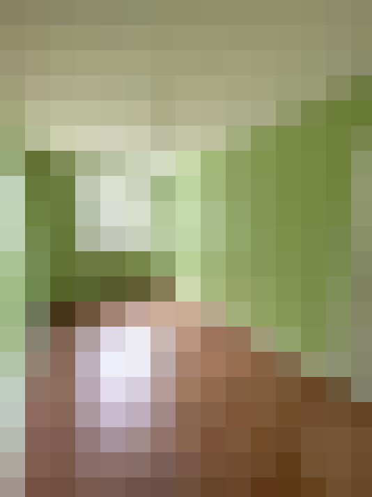  / #6