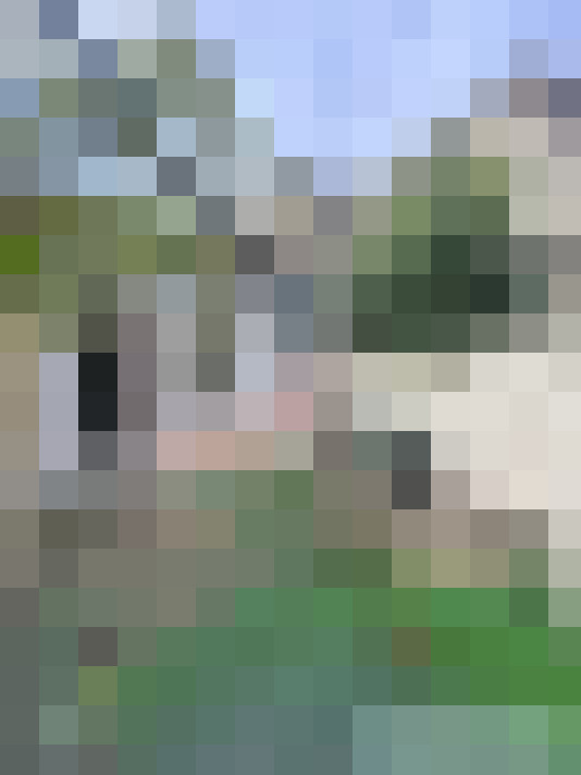  / #15