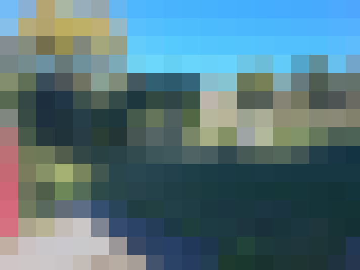  / #14