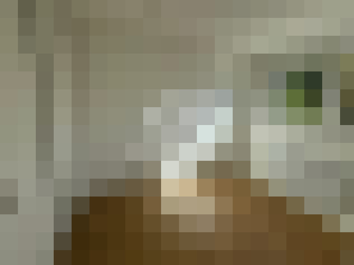  / #6